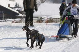 Lenk 2012 SM